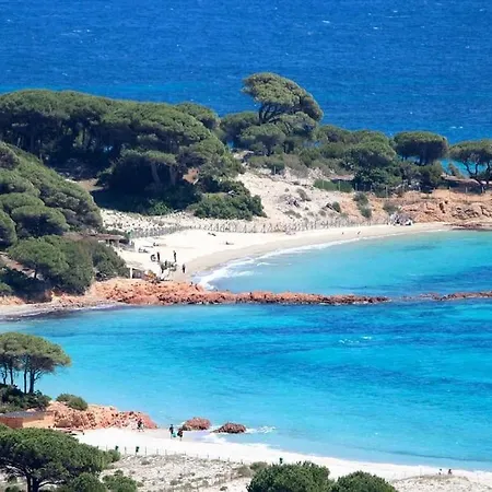 Maison Avec Jardin Et Parking Prive A 300m Du Centre De -vecchio Porto-Vecchio (Corsica)