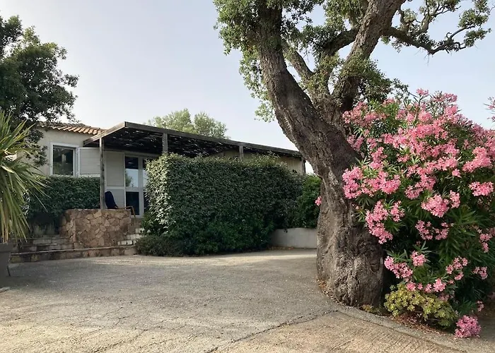 Maison Avec Jardin Et Parking Prive A 300m Du Centre De -vecchio Prázdninový dům