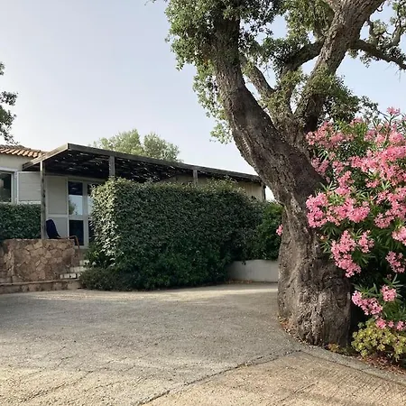 Maison Avec Jardin Et Parking Prive A 300m Du Centre De -vecchio Feriehus